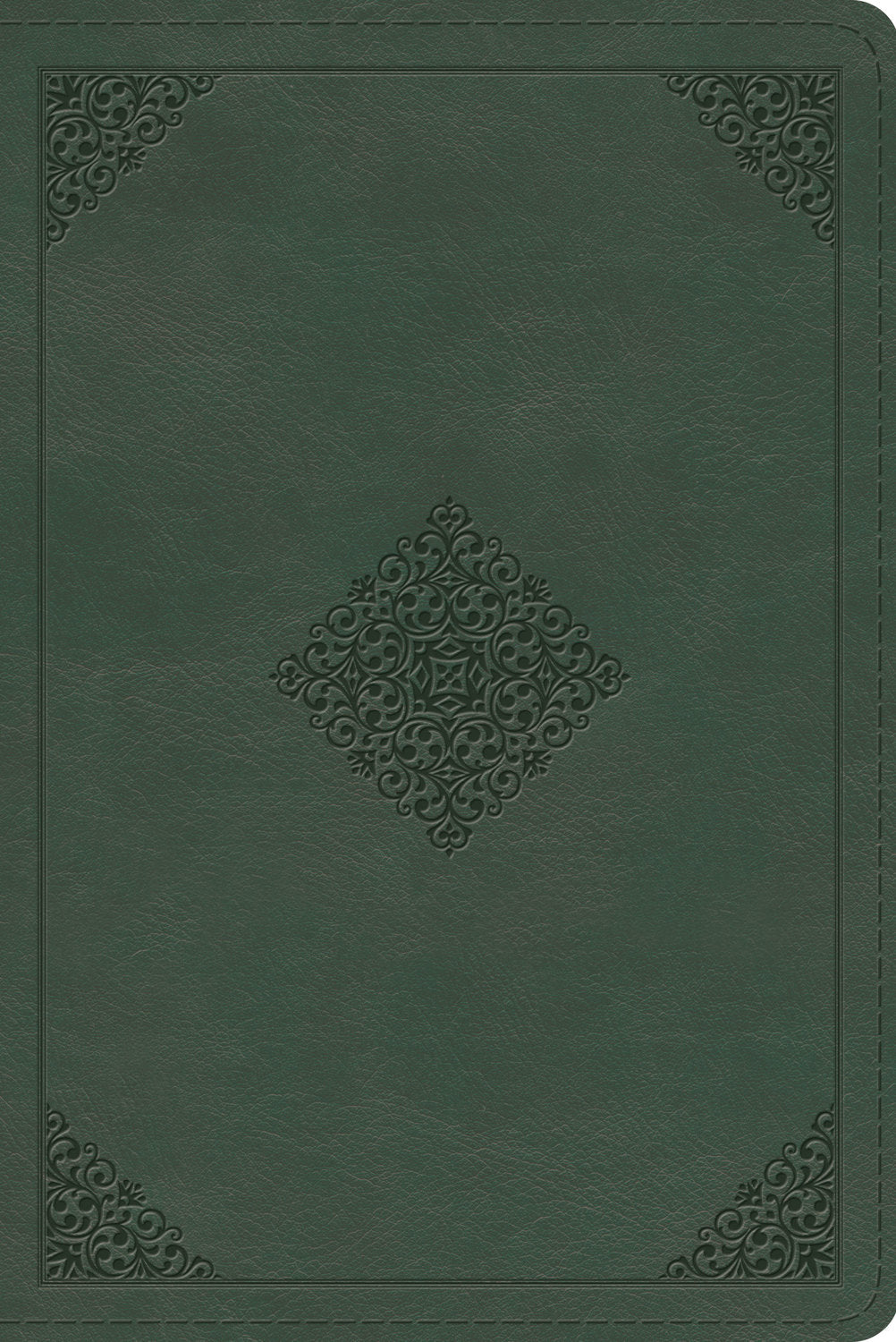 ESV Study Bible, Personal Size (Trutone, Quiet Forest, Ornament Design) front cover (8251960197320)