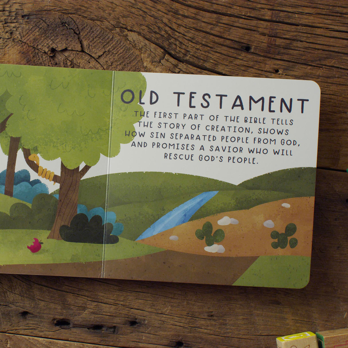 The Bible (Big Theology for Little Hearts)