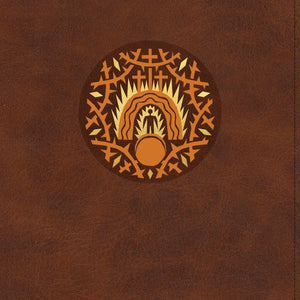 ESV The Biggest Story Holy Bible for Kids