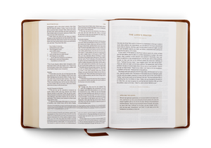 ESV Applying the Gospel Study Bible for Men (Trutone, Brown)
