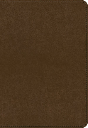 ESV Applying the Gospel Study Bible for Men (Trutone, Brown) front cover (8336259711176)