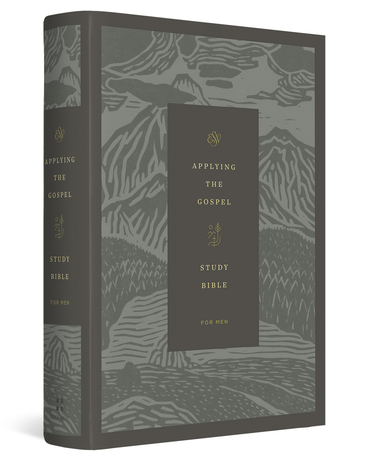 New Bible Commentary: 21st Century Edition - Wenham, Gordon J