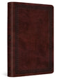 ESV Value Compact Bible (Trutone, Mahogany, Border Design) cover image (8252147368136)