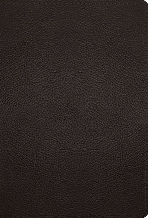 ESV Large Print Compact Bible, Red Letter (Buffalo Leather, Deep Brown) front cover (8252160180424)