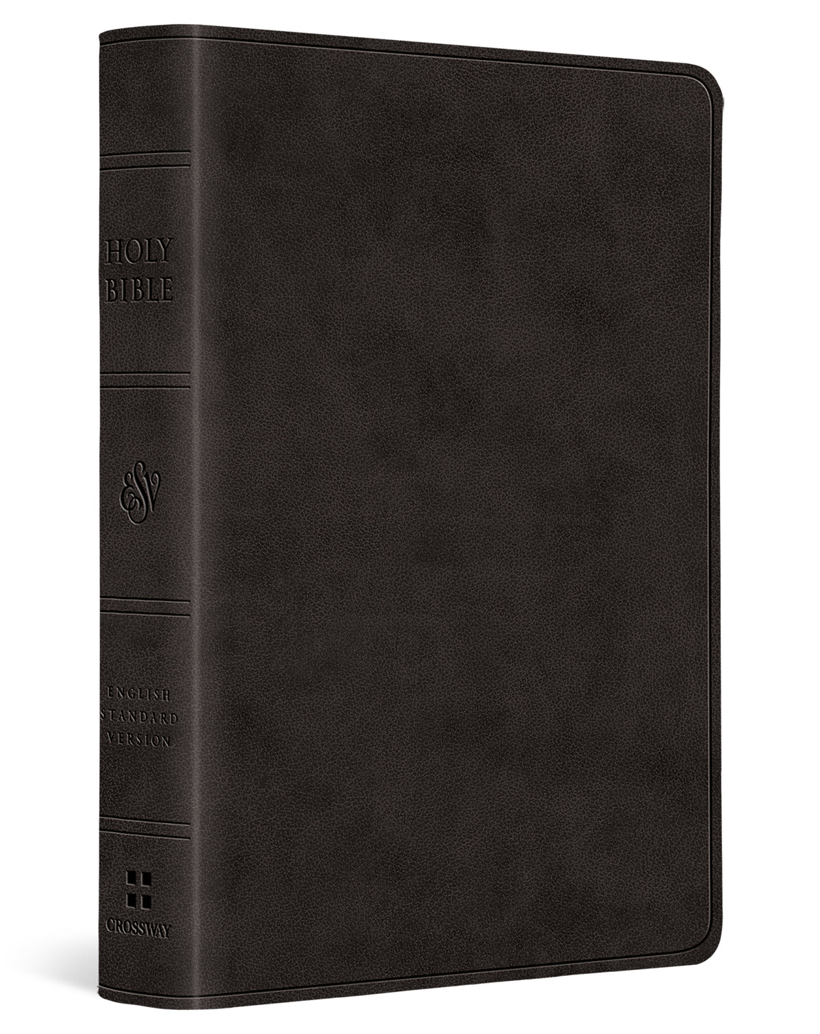 ESV Value Large Print Compact Bible (Trutone, Black) cover image (8252155068616)