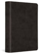 ESV Value Large Print Compact Bible (Trutone, Black) cover image (8252155068616)