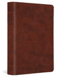 ESV Value Large Print Compact Bible (Trutone, Chestnut) cover image (8252135440584)