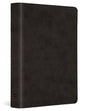 ESV Value Large Print Compact Bible, Red Letter (Trutone, Black) cover image (8252160442568)