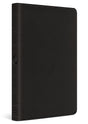 ESV Value Thinline Bible (Trutone, Black) cover image (8242720243912)