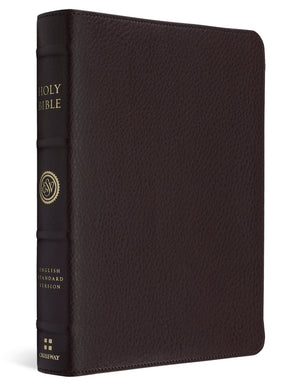 A dark brown textured leather Holy Bible with gold lettering on the spine, shown standing upright against a plain white background.