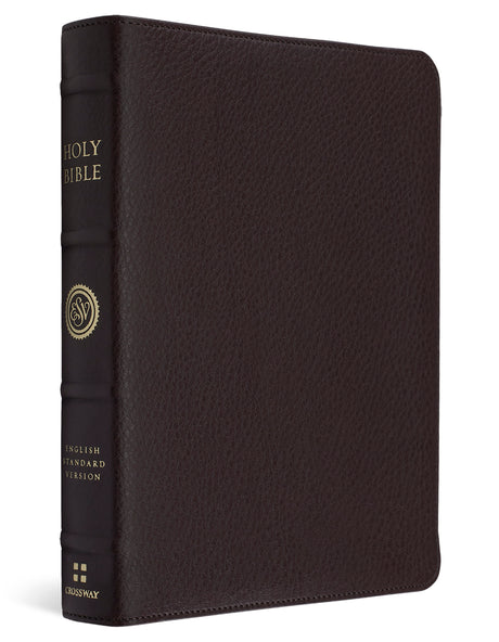 A dark brown textured leather Holy Bible with gold lettering on the spine, shown standing upright against a plain white background.