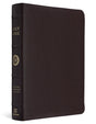 A dark brown textured leather Holy Bible with gold lettering on the spine, shown standing upright against a plain white background.