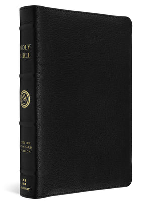 A black textured leather Holy Bible with gold lettering on the spine, shown at a three-quarter angle against a white background.