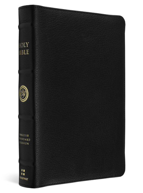 A black textured leather Holy Bible with gold lettering on the spine, shown at a three-quarter angle against a white background.