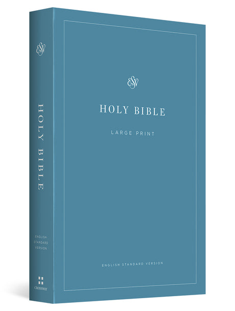 A blue Holy Bible with large print, shown as a 3D book cover mockup on a white background. The cover features a minimalist design with a thin white border and elegant typography.
