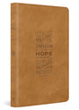 A brown faux-leather Bible with embossed text on the front cover and spine, shown on a clean white background.