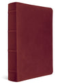 A dark red leather Bible with a textured finish, featuring a detailed spine with gold lettering and decorative bands, shown on a clean white background.