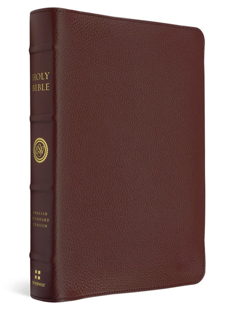 A brown pebbled leather Holy Bible with gold lettering on the spine, shown at a three-quarter angle against a white background.