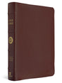 A brown pebbled leather Holy Bible with gold lettering on the spine, shown at a three-quarter angle against a white background.