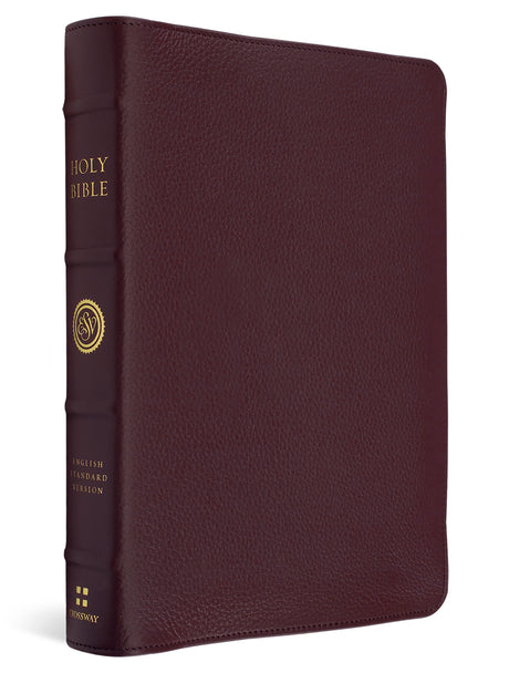 A Holy Bible in a textured burgundy leather cover with gold lettering on the spine, shown at a three-quarter angle against a white background.