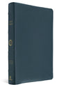A Holy Bible with a textured dark teal-blue pebbled leather cover and gold embossed lettering on the spine, shown on a clean white background.