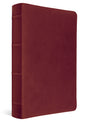 A dark red leather Bible with a textured finish, featuring a full leather cover and a detailed, embossed spine with decorative bands and gold lettering, shown on a white background.