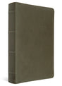 An olive green leather Bible cover with a matching leather-look spine, shown at a three-quarter angle on a white background.