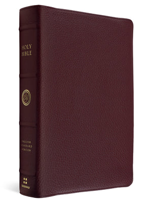 A Holy Bible in pebbled burgundy leather with gold lettering on the spine, shown standing upright against a plain white background.