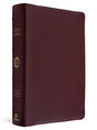 A Holy Bible in pebbled burgundy leather with gold lettering on the spine, shown standing upright against a plain white background.