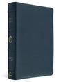 A Holy Bible in a textured navy blue leather cover with gold lettering on the spine, shown at a three-quarter angle on a white background.