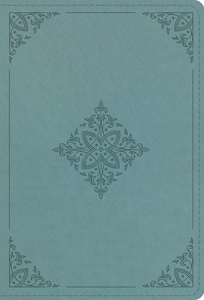 ESV Large Print Compact Bible (Trutone, Paris Sky, Fleur-De-Lis Design) -  () - 9798874914608