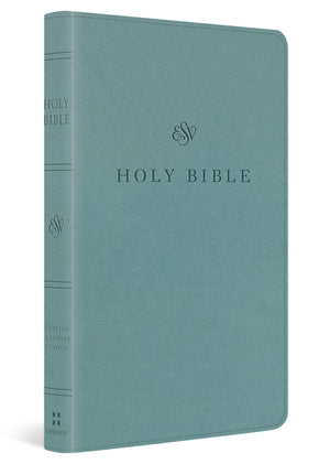 ESV Premium Church Bible (Trutone, Paris Sky) cover image (8334540603592)