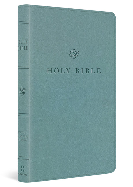 ESV Premium Church Bible (Trutone, Paris Sky) cover image (8334540603592)