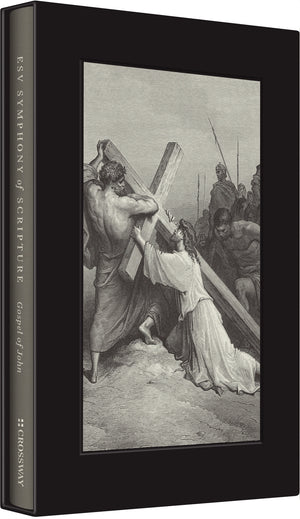 ESV Symphony of Scripture, Gospel of John (Cloth Over Board) - ESV - 9798874915445