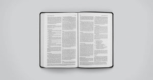 ESV Value Thinline Bible (Trutone, Black)