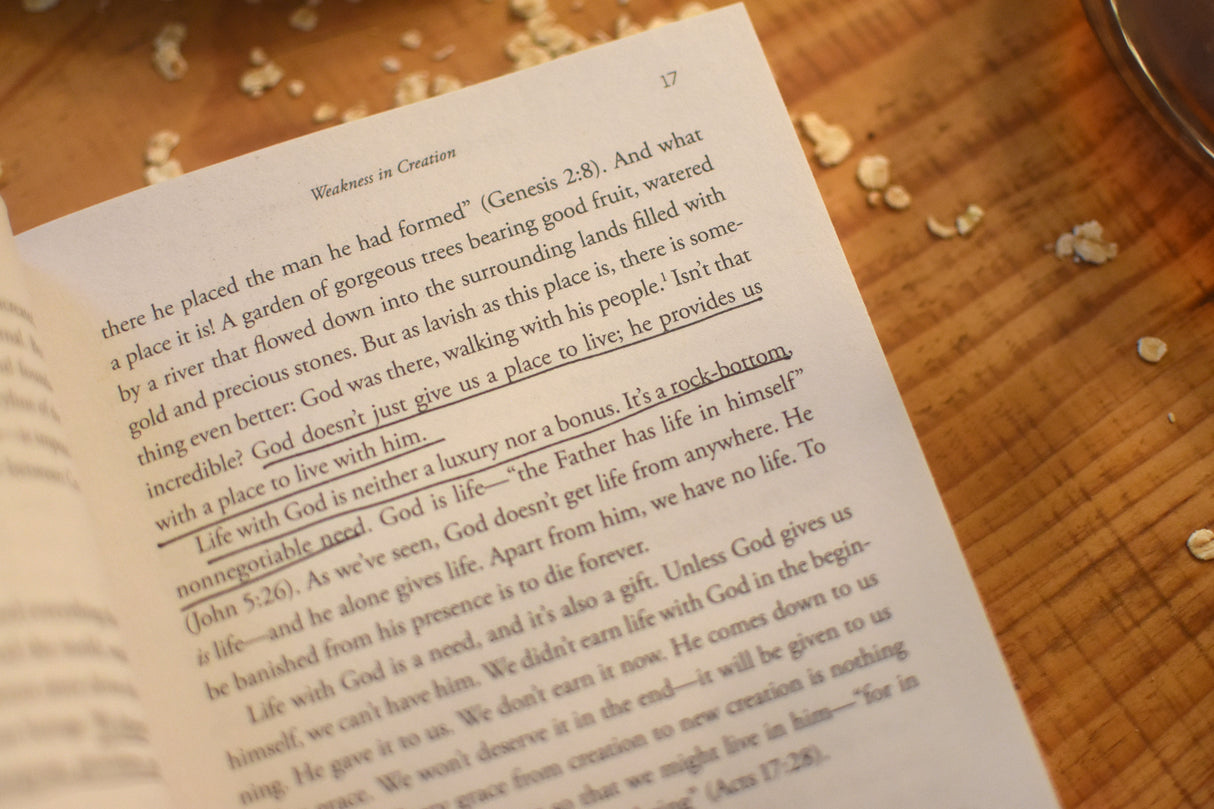 The Good Gift of Weakness: God's Strength Made Perfect in the Story of Redemption