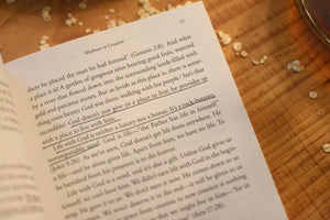 The Good Gift of Weakness: God's Strength Made Perfect in the Story of Redemption
