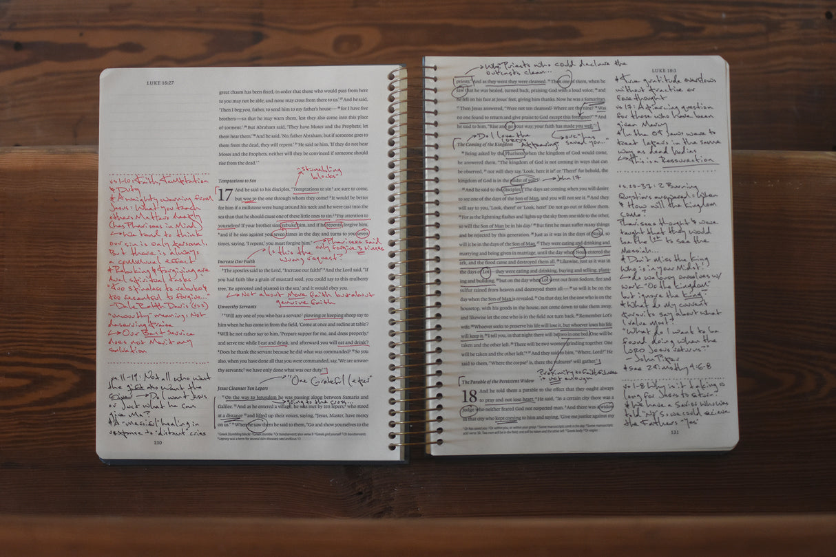 ESV Spiral-Bound Journaling Bible, Five-Volume Set (Hardcover, Cover Artwork by Lulie Wallace)