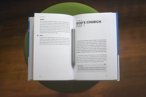 Tracing God's Story: An Introduction to Biblical Theology (Theology Basics)