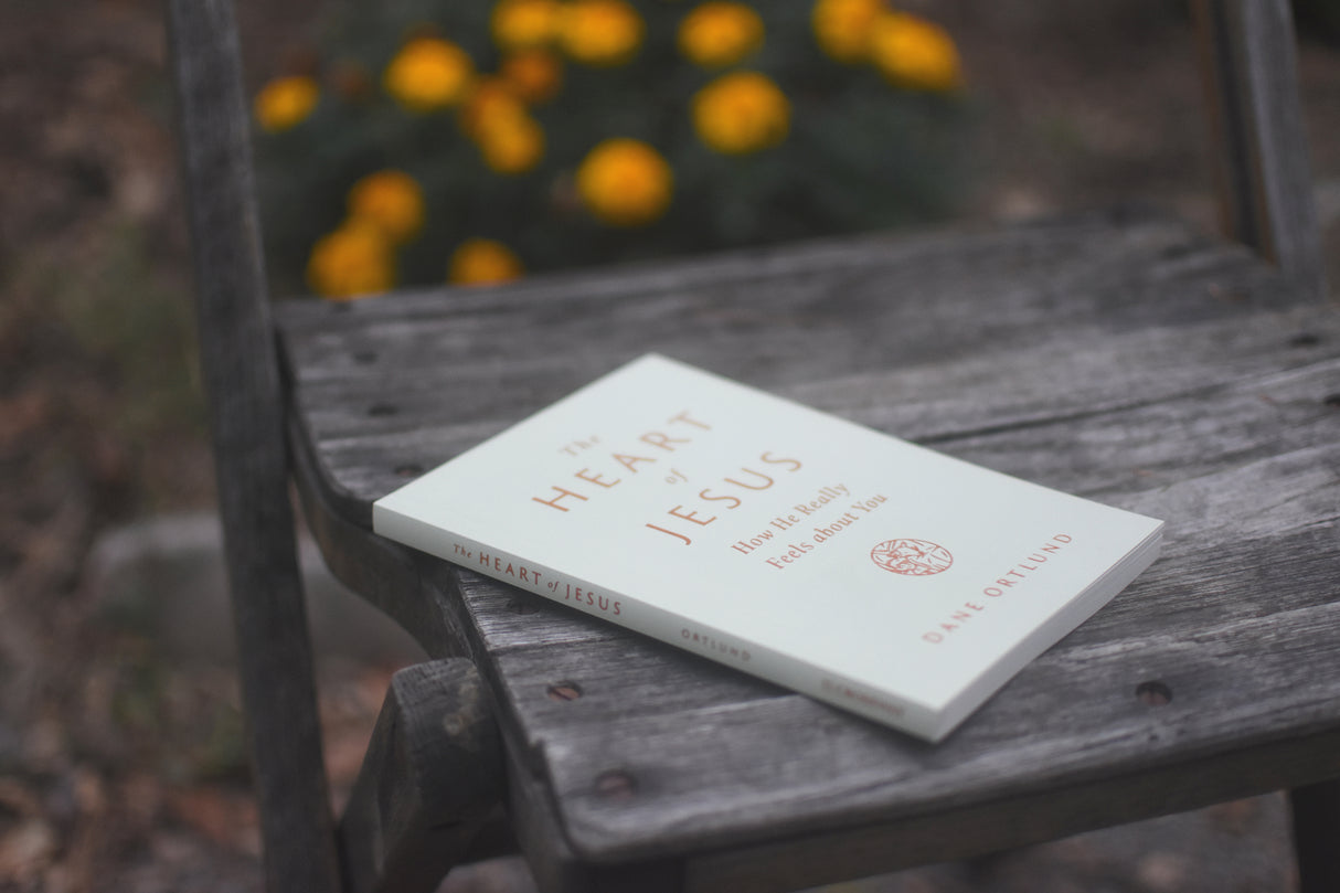 The Heart of Jesus: How He Really Feels about You
