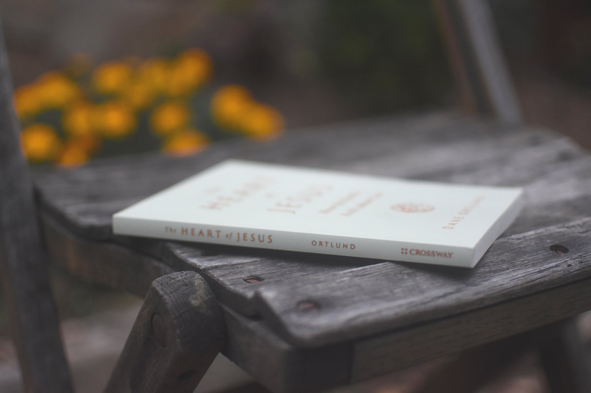 The Heart of Jesus: How He Really Feels about You