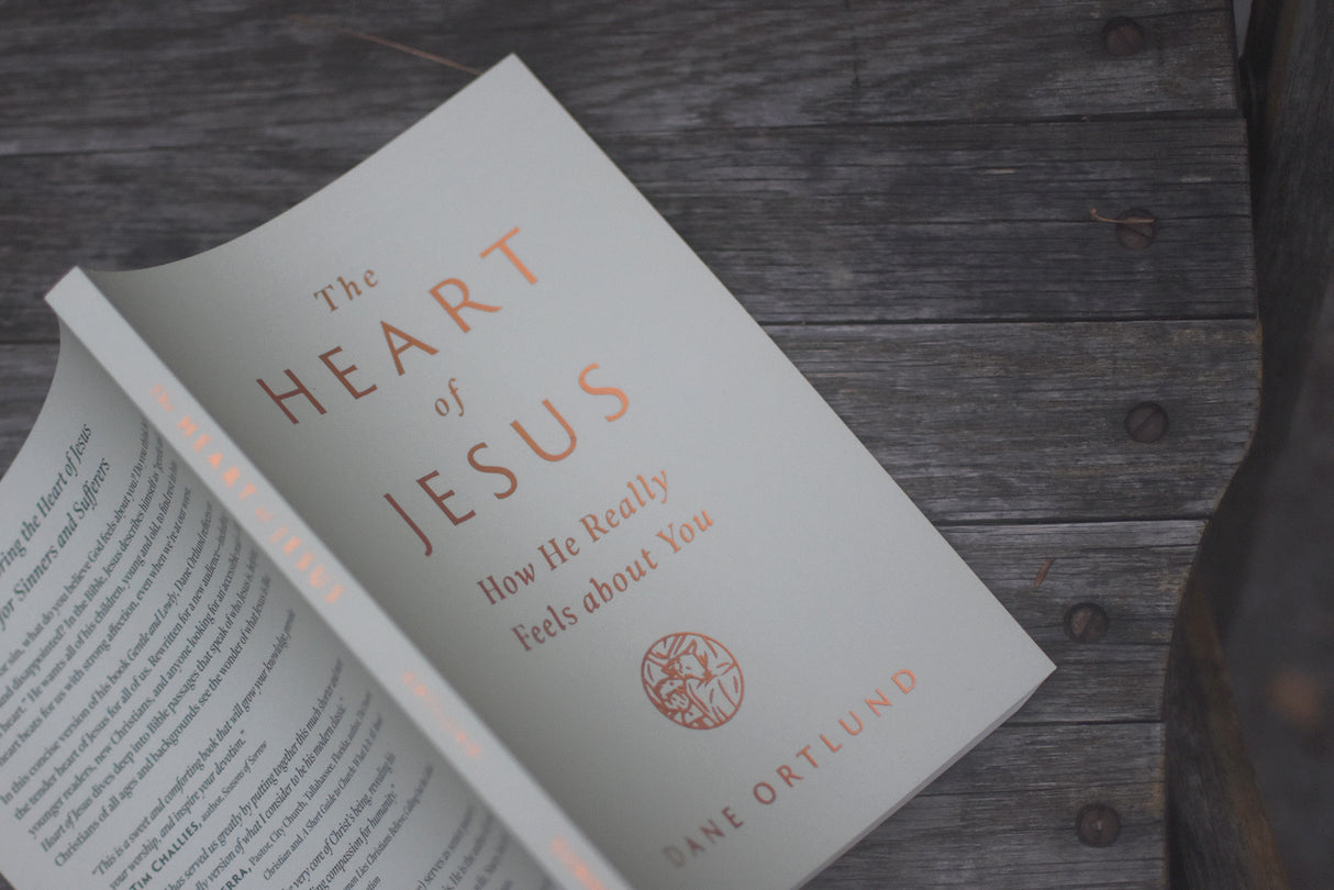 The Heart of Jesus: How He Really Feels about You