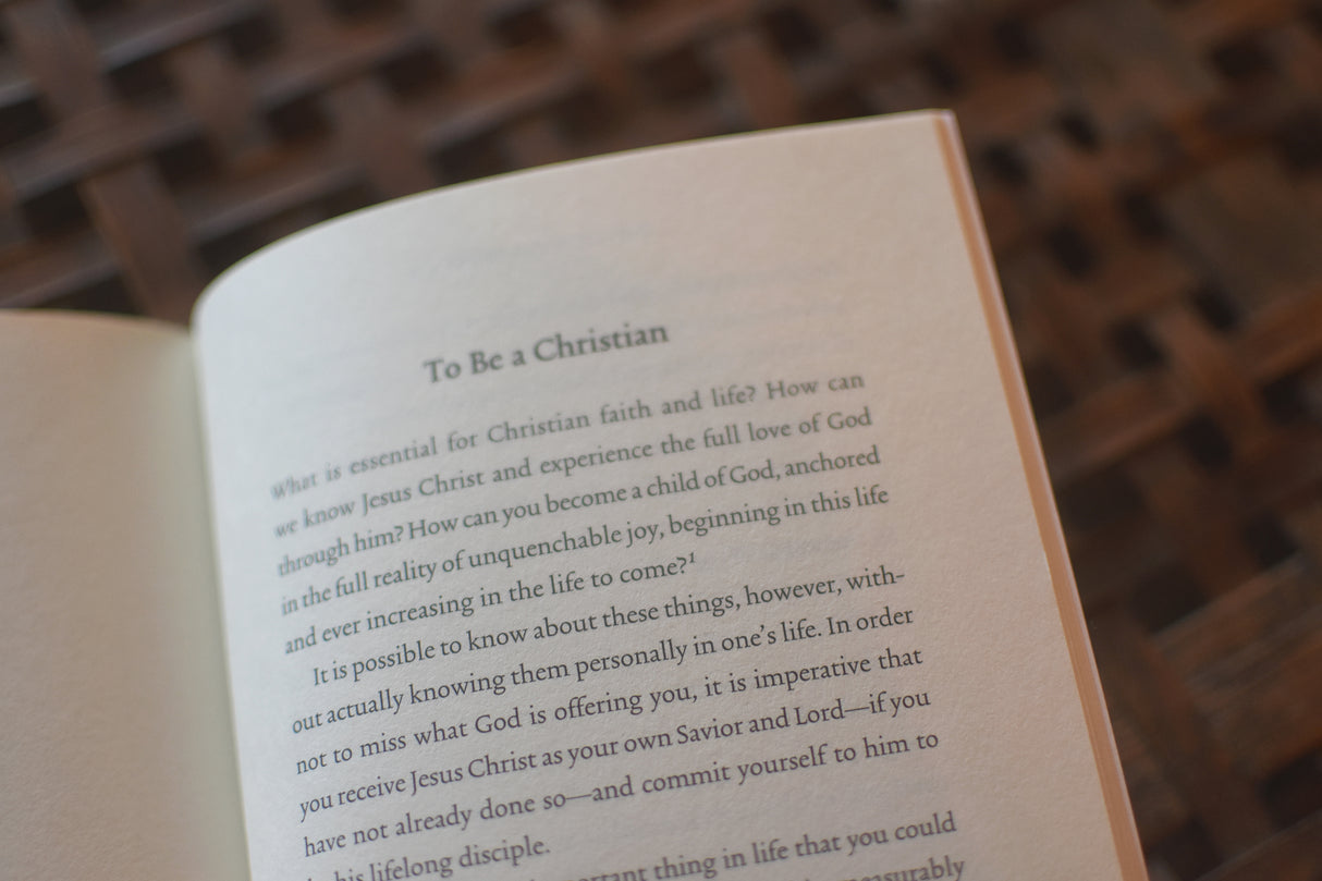 The Story of Jesus: A Guided Journey Through the Gospel of John (Paperback)