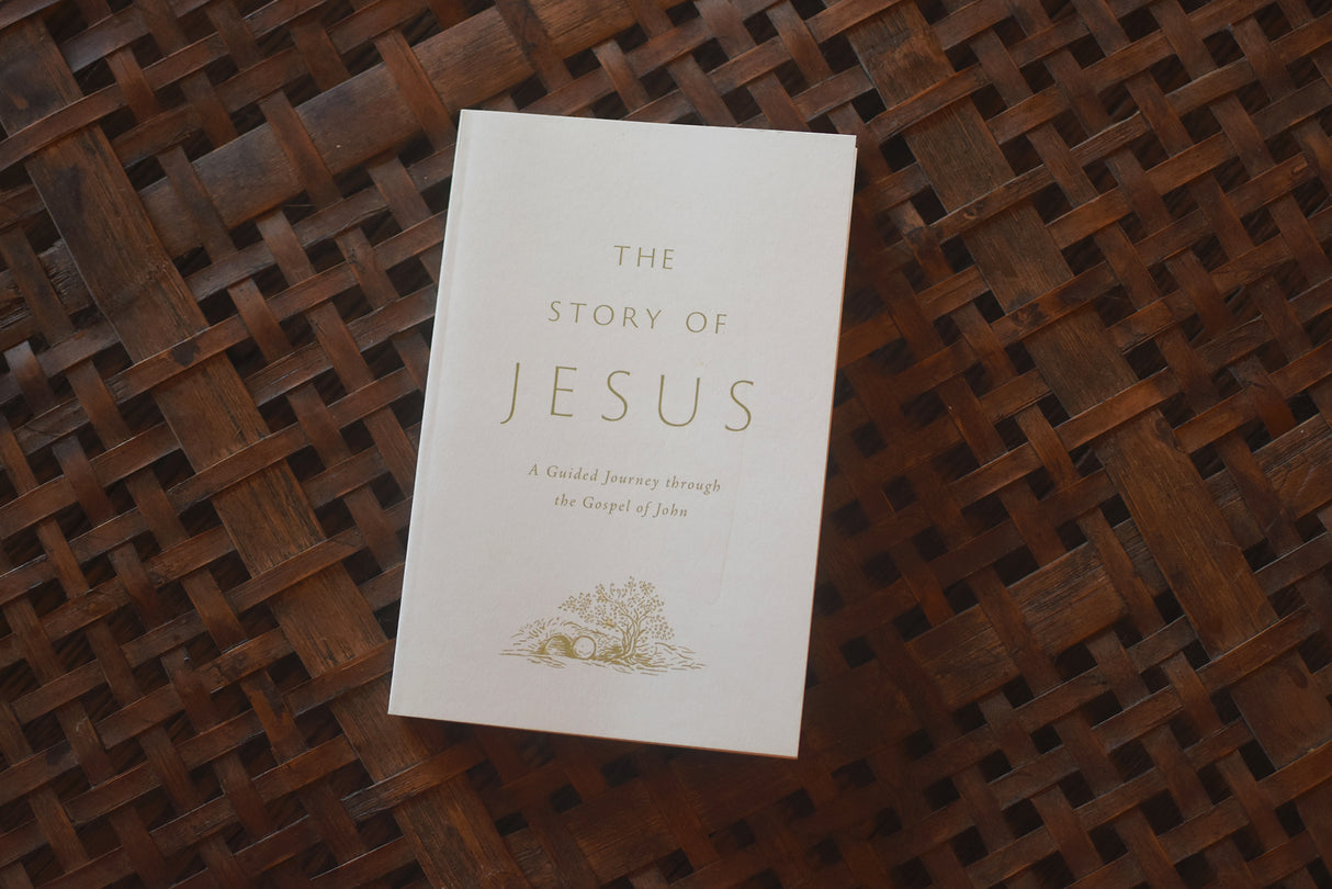 The Story of Jesus: A Guided Journey Through the Gospel of John (Paperback)