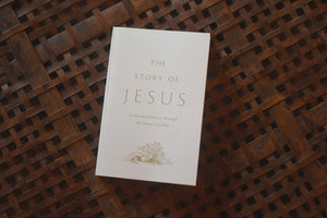 The Story of Jesus: A Guided Journey Through the Gospel of John (Paperback)