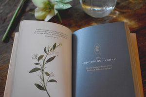 What Makes You Beautiful: 20 Daily Devotions for Girls