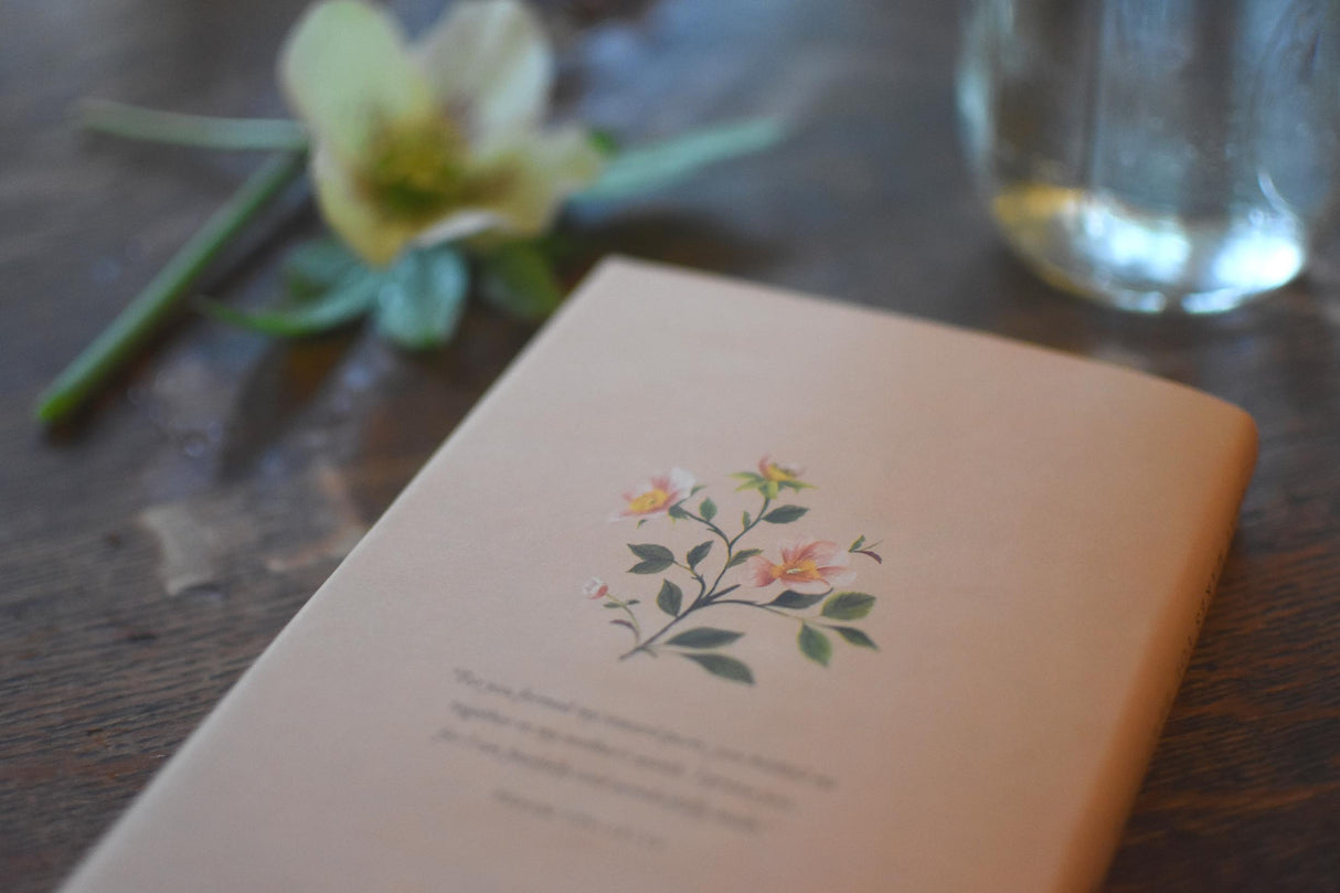 What Makes You Beautiful: 20 Daily Devotions for Girls