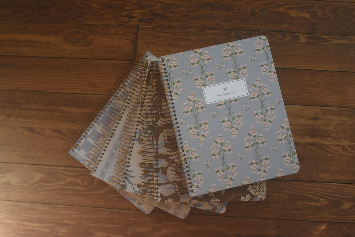 ESV Spiral-Bound Journaling Bible, Five-Volume Set (Hardcover, Cover Artwork by Lulie Wallace)