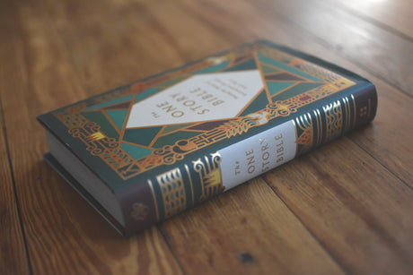 The One Story Bible: Tracing the Thread of Redemption Through God's Word (Hardcover)
