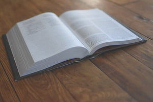 The One Story Bible: Tracing the Thread of Redemption Through God's Word (Hardcover)